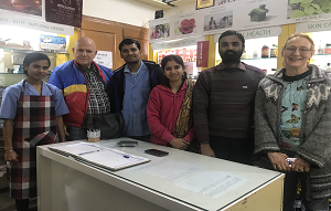 Ayurvedic hospital in udaipur